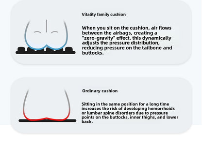 Lumbar Spine Cushion By Solveox™